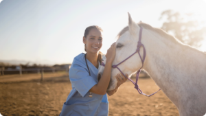 How to Choose the Right Equine X-Ray System