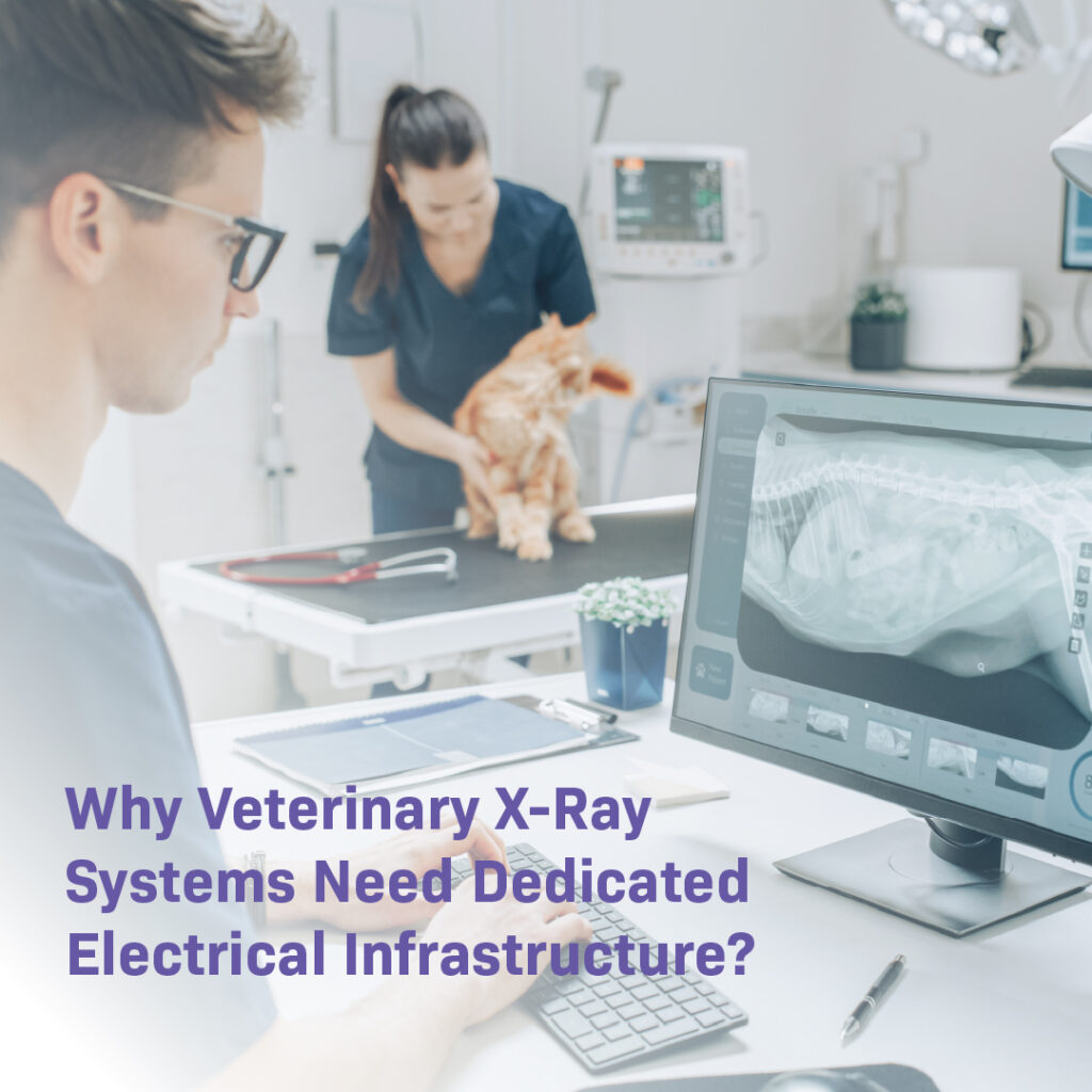 A male veterinarian reviewing digital imaging on a computer screen while a technician handles a cat, illustrating the importance of meeting veterinary X-ray electrical requirements for clear diagnostics.