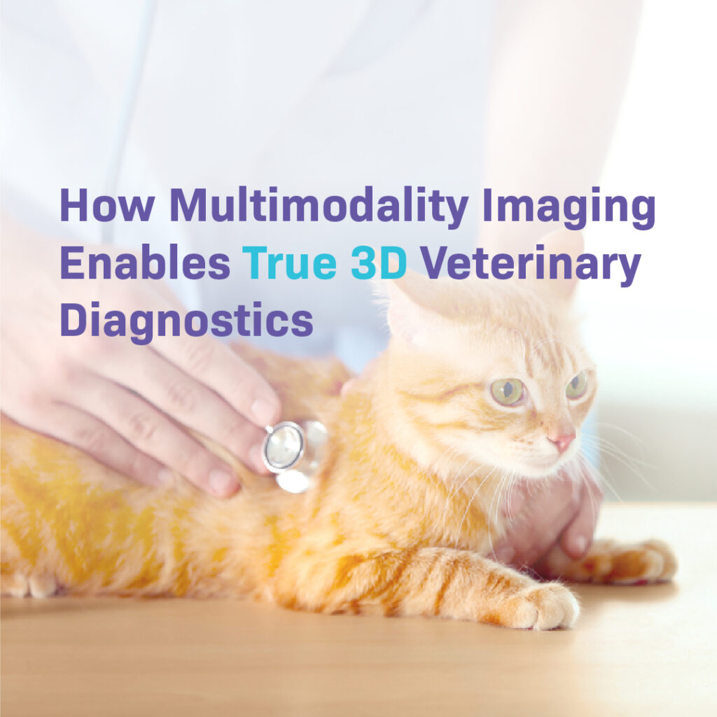 A ginger cat receiving a veterinary exam with a stethoscope, overlaid with the blog title: 'How Multimodality Imaging Enables True 3D Veterinary Diagnostics.