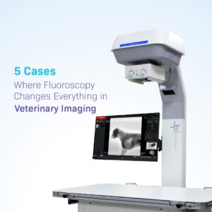 JPI Healthcare veterinary fluoroscopy system featuring a digital monitor displaying a real-time canine spinal scan with the blog title "5 Cases Where Fluoroscopy Changes Everything in Veterinary Imaging