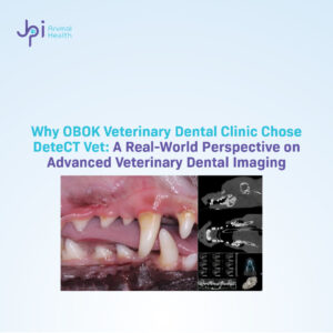 JPI Animal Health blog banner titled "Why OBOK Veterinary Dental Clinic Chose DeteCT Vet," showing a side-by-side comparison of a canine oral exam and advanced 3D dental CT imaging scans.