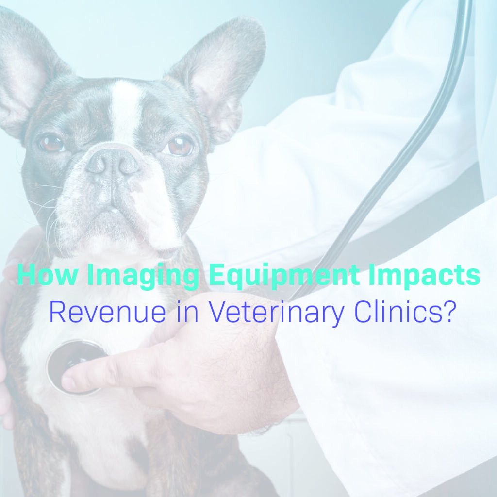 Blog header image featuring a French Bulldog examined by a veterinarian, titled "How Imaging Equipment Impacts Revenue in Veterinary Clinics?"