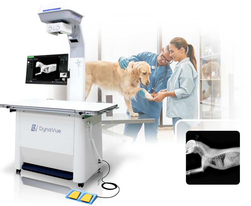 DynaVue Duo fluoroscopy and DR system next to veterinarian examining a Golden Retriever with sample canine radiograph preview