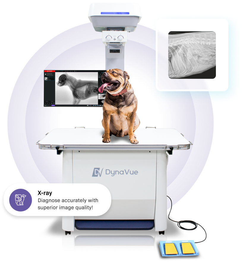 DynaVue Duo veterinary X-ray table with dog patient, software display, and thoracic radiograph scan previews