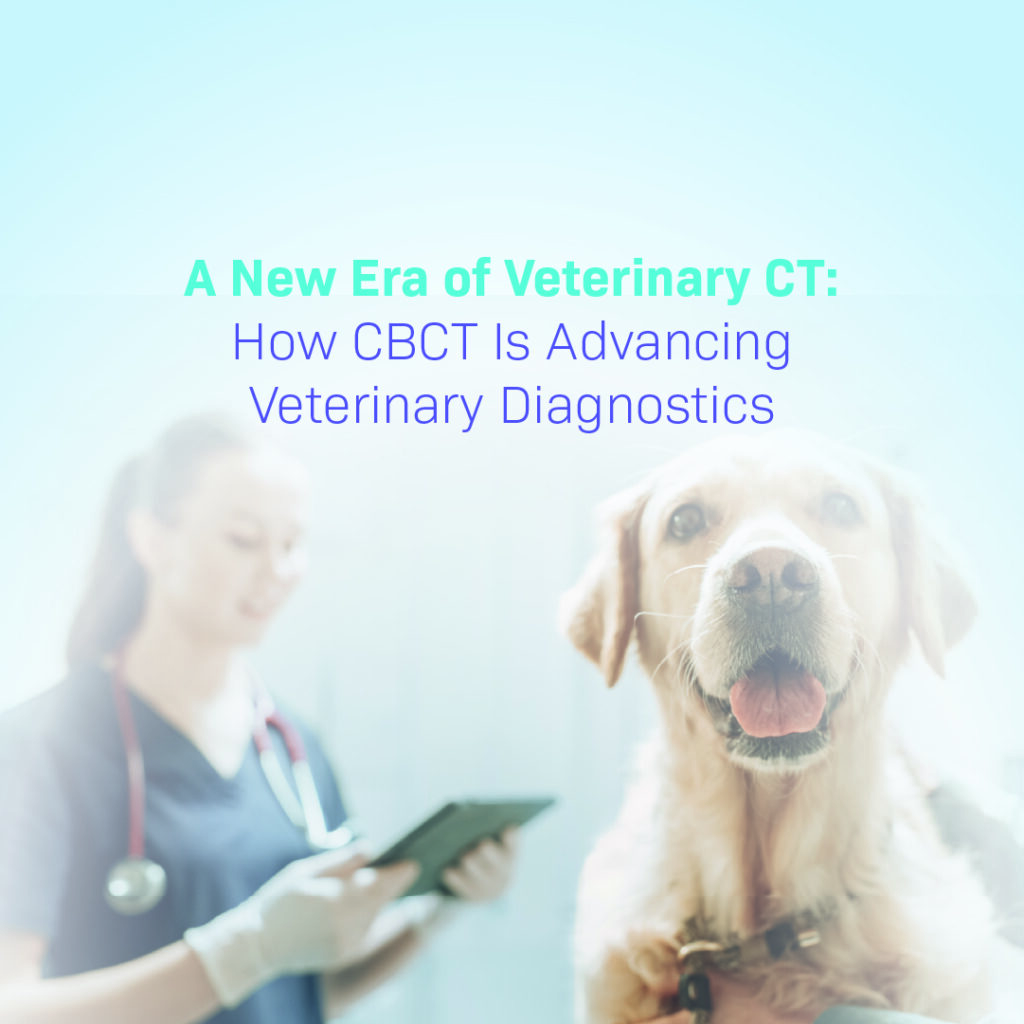 Title graphic for 'A New Era of Veterinary CT: How CBCT Is Advancing Veterinary Diagnostics' showing a happy dog next to a veterinarian holding a tablet.