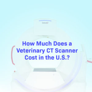 White and light blue DeteCT veterinary CT scanner machine displaying text that reads "How Much Does a Veterinary CT Scanner Cost in the U.S.?"